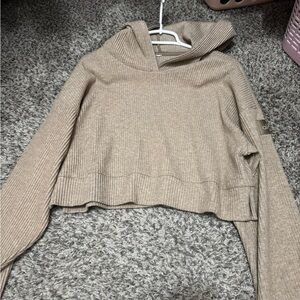 ALO Yoga Brown Cropped Hoodie